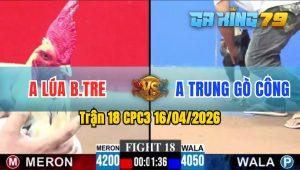 Trận 18 CPC3 16/04/2026 - Gà Chuối Anh Trung Gò Công Toàn Đâm Cựa Tịch