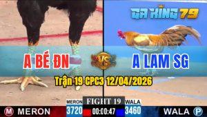 Trận 19 CPC3 12/04/2026 - Gà Anh Lam SG Đá Đòn Cựa Quá Dính