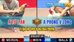 Trận 19 CPC3 16/04/2026 - Gà Anh Tư Long An Siết Đúng 1 Tay Nước