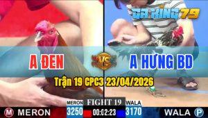 Trận 19 CPC3 23/04/2026 - Gà Điều Anh Đen Đá Toàn Cựa Hiểm