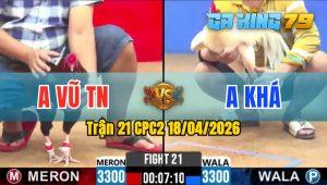 Trận 21 CPC2 18/04/2026 - Gà Điều Anh Vũ TN Đâm Cựa Toàn Vào Mu Lưng