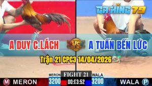 Trận 21 CPC3 14/04/2026 - Gà Điều Vàng Có Chân Cựa Chí Mạng