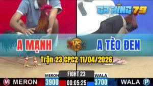 Trận 23 CPC2 11/04/2026 - Gà Anh Tèo Đen Đá Đâm Như Giang Hồ