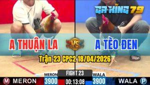 Trận 23 CPC2 18/04/2026 - Gà Anh Đen Đá Đòn Cựa Quá Hiểm Hóc