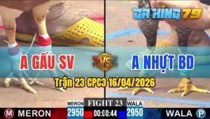 Trận 23 CPC3 16/04/2026 - Gà Anh Nhựt BD Đá Không Cho Đối Thủ Cơ Hội