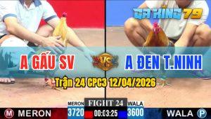 Trận 24 CPC3 12/04/2026 - Anh Gấu Thắng Vất Vả Trước Anh Đen TN