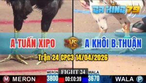 Trận 24 CPC3 14/04/2026 - Gà Tuấn Xipo Huỷ Diệt Đối Thủ Chỉ Sau 2 Chân