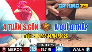 Trận 25 CPC3 14/04/2026 - Gà Điều Anh Quý Đồng Tháp Đá Cựa Quá Tịch