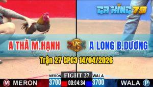 Trận 27 CPC3 14/04/2026 - Gà Anh Long Bình Dương Đá Đối Thủ Gục Tại Chỗ
