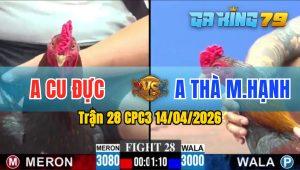 Trận 28 CPC3 14/04/2026 - Gà Anh Thà MH Đá Không Cho Đổi Thủ Trở Tay