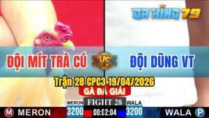 Trận 28 CPC3 19/04/2026 - Gà Idol Mít Trà Cú Đâm Cựa Quá Tịch