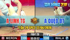 Trận 29 CPC2 12/04/2026 - Gà Anh Quẹo Ra Đòn Nhanh Như Chớp