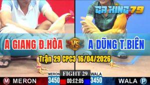 Trận 29 CPC3 16/04/2026 - Gà Bướm Anh Giang Đức Hoà Đá Đối Thủ La Miệng