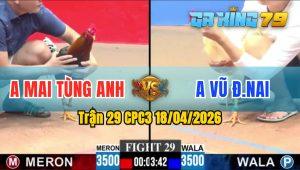 Trận 29 CPC3 18/04/2026 - Gà Úa Đá Siết Một Hơi Hốt Bạc