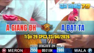 Trận 29 CPC3 23/04/2026 - Gà Anh Giang Đức Hoà Đá Quá Tịch
