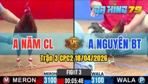 Trận 3 CPC2 18/04/2026 - Gà Anh Năm CL Đâm Toàn Cựa Tịch
