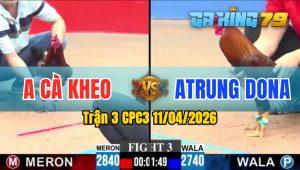 Trận 3 CPC3 11/04/2026 - Gà Anh Trung Dona Đá 3 Chân Hốt Bạc