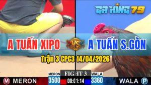 Trận 3 CPC3 14/04/2026 - Gà Điều Anh Tuấn SG Đá Đâm Toàn Cựa Tịch