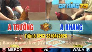 Trận 3 CPC3 23/04/2026 - Gà Anh Khang Đá Cựa Đâm Thấy Nóng Lạnh