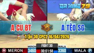 Trận 30 CPC2 16/04/2026 - Gà Anh Tèo SG Đá Đòn Cựa Quá Hiểm