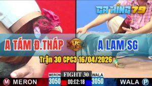Trận 30 CPC3 16/04/2026 - Anh Tám Đồng Tháp Hạ Gọn Anh Lam SG