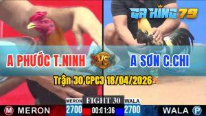 Trận 30 CPC3 18/04/2026 - Gà Anh Sơn Củ Chi Đá Không Cho Đối Thủ Cơ Hội