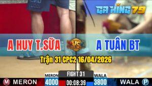 Trận 31 CPC2 16/04/2026 - Anh Tuấn BT Đá Đâm Toàn Cựa Tịch