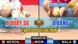 Trận 31 CPC3 11/04/2026 - Gà Anh Quậy SG Đá Gà Anh Dàng Bay Bồ