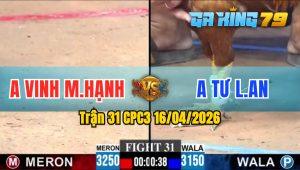 Trận 31 CPC3 16/04/2026 - Gà Điều Anh Vinh MH Đá Đâm Như Máy Khâu
