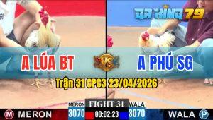 Trận 31 CPC3 23/04/2026 - Gà Anh Phú SG Đá Đòn Quá Lực