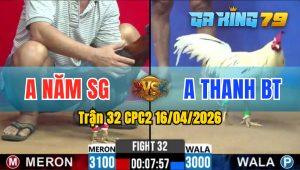 Trận 32 CPC2 16/04/2026 - Gà Anh Thanh Đá Chỉ Trong 1 Tay Nước