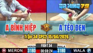 Trận 34 CPC2 15/04/2026 - Gà Anh Bình Hiệp Giao Chân Toàn Cựa Hiểm