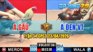 Trận 34 CPC3 23/04/2026 - Gà Anh Gấu Đá Tốc Độ Hạ Đối Thủ Nhanh Gọn