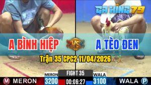 Trận 35 CPC2 11/04/2026 - Gà Anh Bình Hiệp Đá 1 Cước Đối Thủ Hư Hình