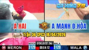 Trận 36 CPC3 18/04/2026 - Gà Bướm Anh Mạnh ĐH Tải Cựa Quá Tốt