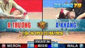 Trận 36 CPC3 23/04/2026 - Gà Anh Khang Canh Đá Toàn Ngay Chỗ Hiểm
