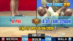 Trận 37 CPC2 15/04/2026 - Gà Anh Phi Đá Gà Anh Xanh Lên Đường