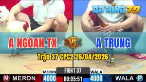 Trận 37 CPC2 26/04/2026 - Điều Đâm Quá Tịch 1 Tay Nước Bướm Ói Chết