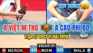 Trận 37 CPC3 11/04/2026 - Anh Việt Mỹ Tho Gặp Anh Cao Phi BD