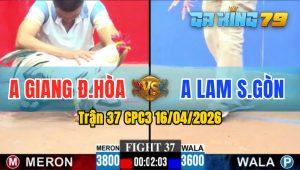 Trận 37 CPC3 16/04/2026 - Gà Anh Giang ĐH Thắng Trong Vài Chân Đầu