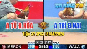 Trận 37 CPC3 18/04/2026 - Gà Cú Kêu Thì Điều Chỉ Có Đường Tử