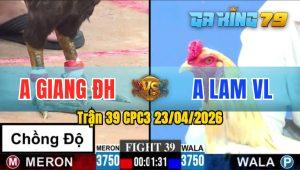 Trận 39 CPC3 23/04/2026 - Gà Anh Giang Đức Hoà Chồng Độ Lên 3 Đẳng Cấp