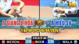 Trận 40 CPC3 16/04/2026 - Gà Anh Giang Đức Hoà Đá Canh Chặn Quá Khéo