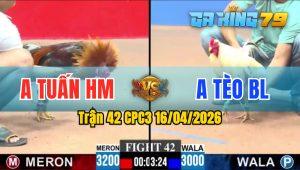 Trận 42 CPC3 16/04/2026 - Gà Anh Tuấn HM Nạp Siết Tiễn Anh Tèo Lên Đường