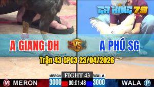 Trận 43 CPC3 23/04/2026 - Gà Anh Phú SG Đá Đâm Như Giang Hồ