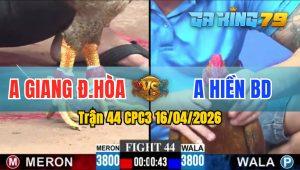 Trận 44 CPC3 16/04/2026 - Gà Cú Anh Giang Đức Hoà Đâm Toàn Cựa Tịch