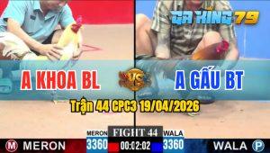 Trận 44 CPC3 19/04/2026 - Gà Anh Gấu BT Đâm Cựa Quá Tịch