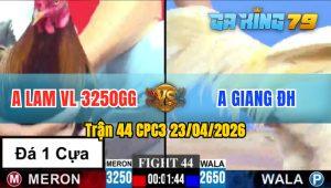 Trận 44 CPC3 23/04/2026 - Gà Anh Lam VL Đá Cái Bo Như Xe Đụng