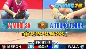 Trận 45 CPC3 23/04/2026 - Gà Anh Trung Tây Ninh Đá Như Đinh Đóng Cột