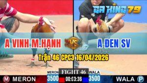 Trận 46 CPC3 16/04/2026 - Gà Cú Anh Vinh Bại Trước Gà Anh Đen
